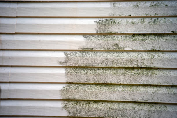 Best Property Management Cleanouts  in Batesville, MS